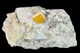 Orange Wulfenite and Botryoidal Mimetite - La Morita Mine, Mexico #170302-2